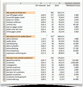 Nischenseiten-Challenge # 2 – Wettbewerbsanalyse, Keywords & Domain